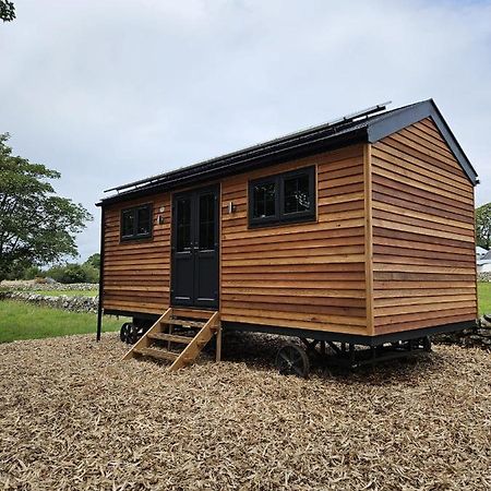 Woodland Shepherds Hut - 'Saga' Caernarfon Kültér fotó