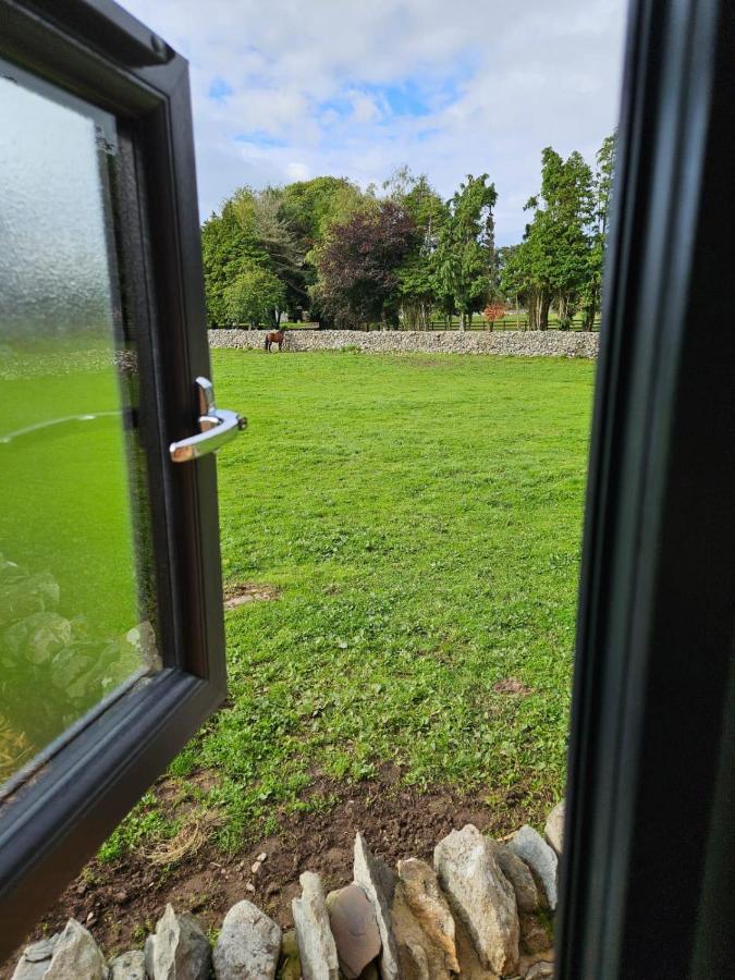 Woodland Shepherds Hut - 'Saga' Caernarfon Kültér fotó