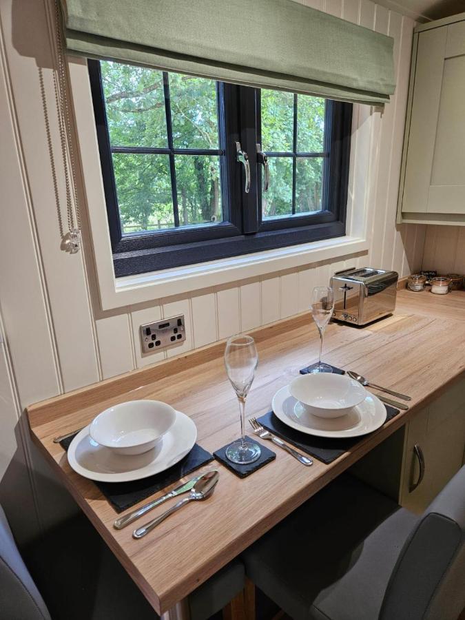 Woodland Shepherds Hut - 'Saga' Caernarfon Kültér fotó