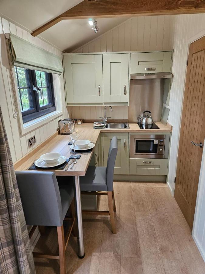 Woodland Shepherds Hut - 'Saga' Caernarfon Kültér fotó