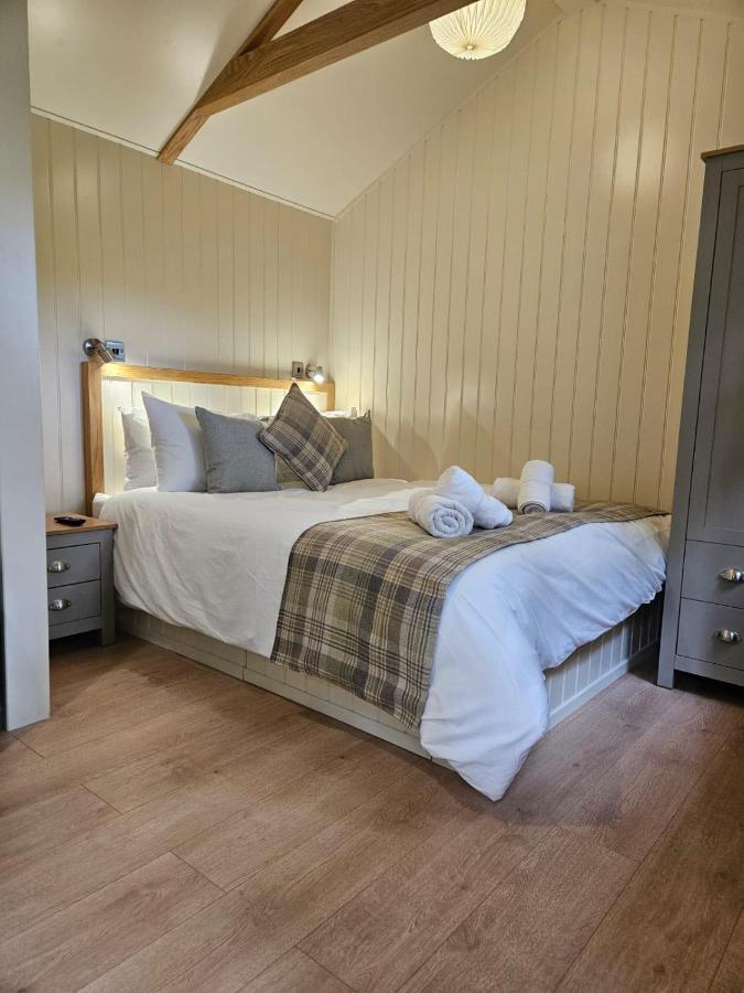 Woodland Shepherds Hut - 'Saga' Caernarfon Kültér fotó