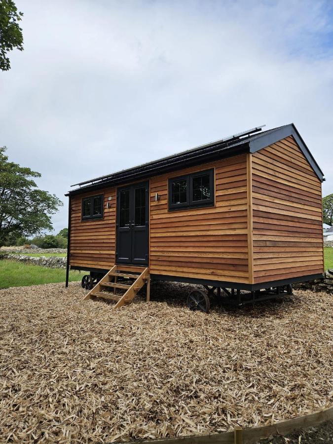 Woodland Shepherds Hut - 'Saga' Caernarfon Kültér fotó