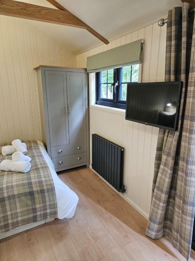 Woodland Shepherds Hut - 'Saga' Caernarfon Kültér fotó