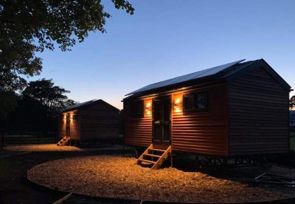 Woodland Shepherds Hut - 'Saga' Caernarfon Kültér fotó